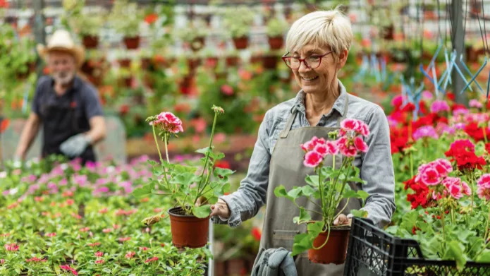 Symbolbild: Blumen und Pflanzen