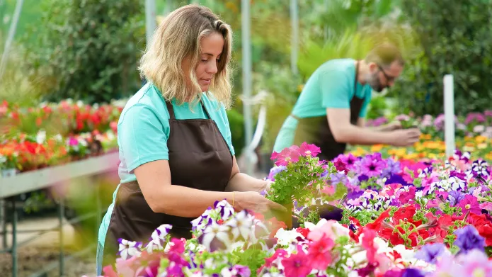 Symbolbild: Blumen und Pflanzen