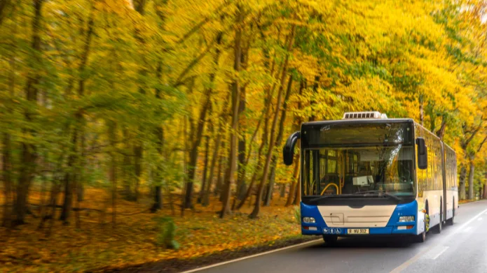 Symbolbild: Busreisen