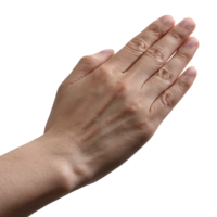hand2.png