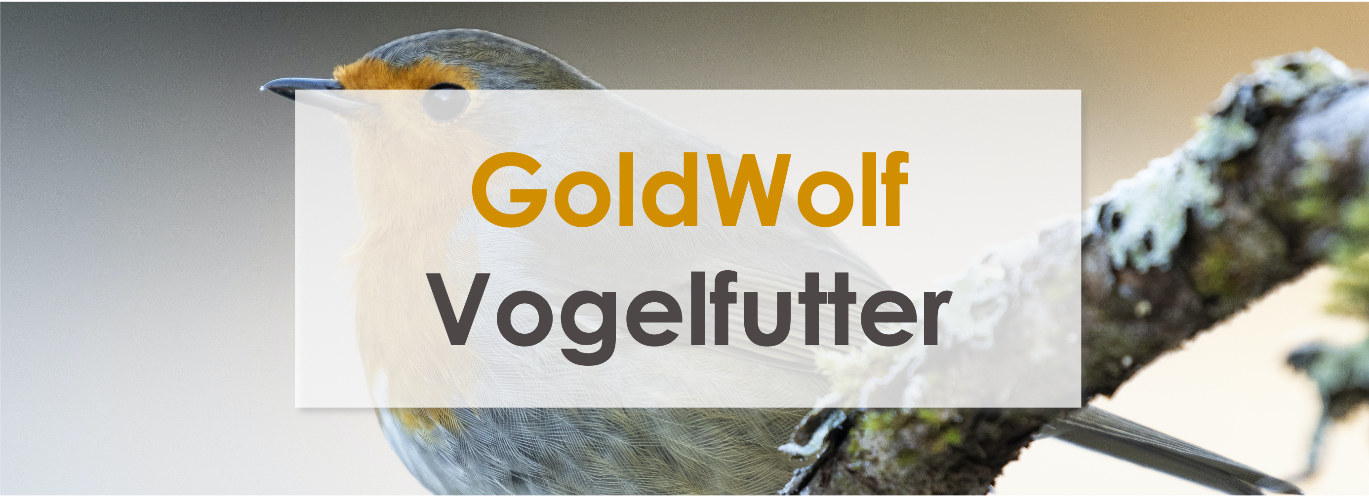 Goldwolf – Vogelfutter