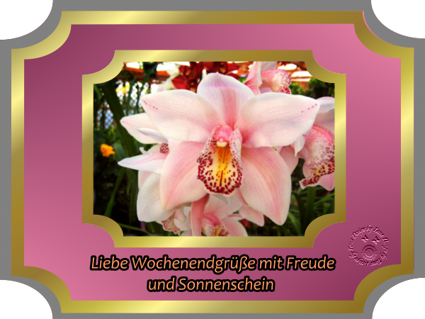 Wochenende Orchideen.png