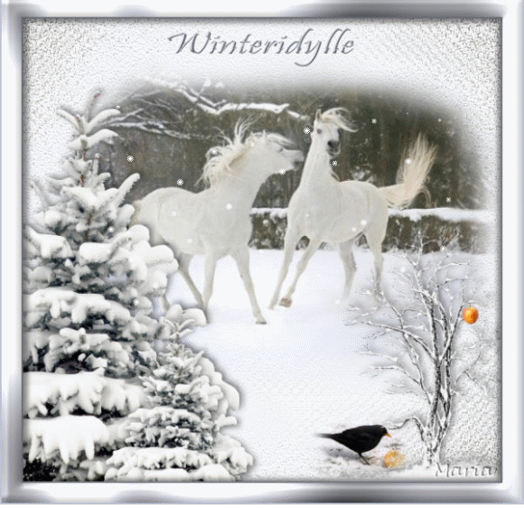 1- Januar- Winteridylle.gif