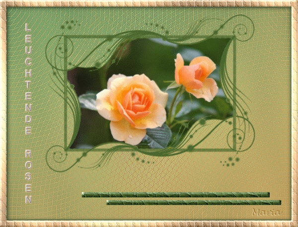 14-März-Leuchtende Rosen.gif