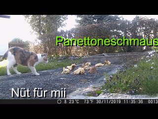 Panettoneschmaus am Cheminé klein Gif.GIF