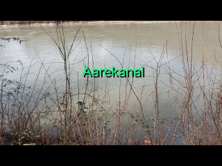 Aarekanal, 2024-03-19, Gif 5.GIF