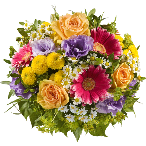 Blumenstrauß-sonnige-geburtstagsgrüße-l-e1516364186336.png