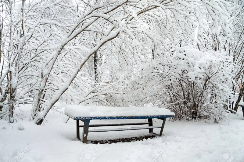 91113394-winter-park-bäume-und-eine-bank-mit-schnee-bedeckt-winterliche-schneelandschaft-.webp