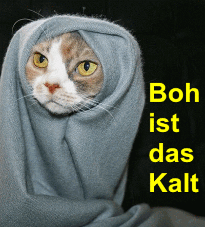 Katze-frierend_animiert.gif