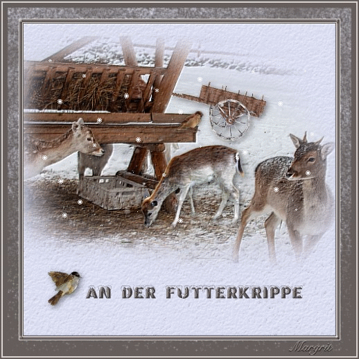 Wintertag  Fütterung gif 2001.gif