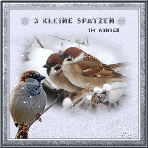 Wintertag 3 kl. Spatzen gif 2001.gif
