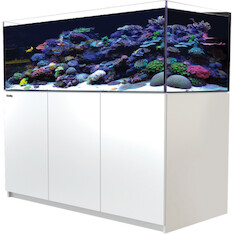 Red Sea Reefer 525 G2+ weiss