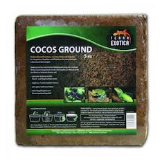 Terra Exotica Cocos Ground ca. 5 kg - fein