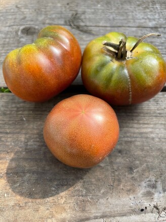 Tomate „Black Krim“ - BIO-Tomatensorte [samenfest]
