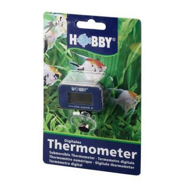Hobby Digitales Thermometer