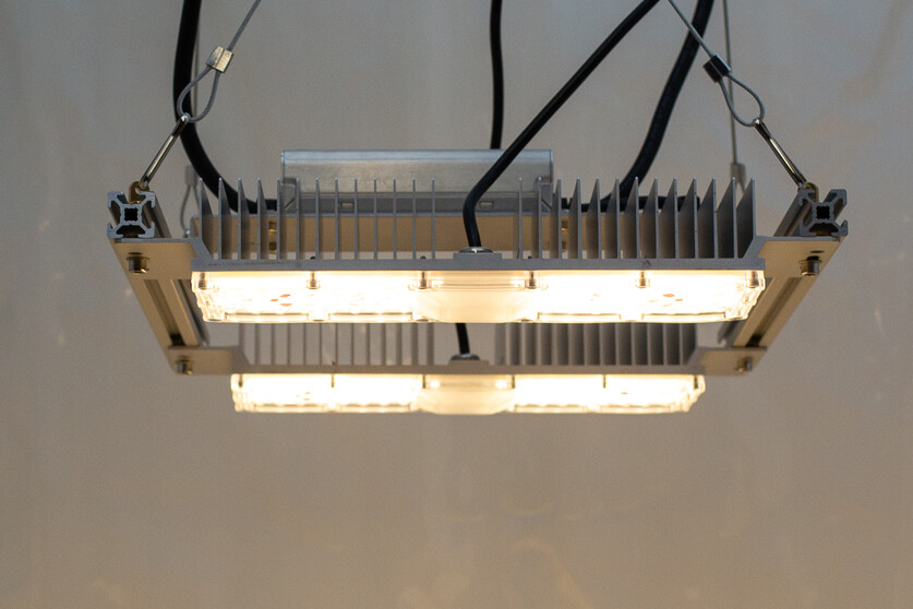 Monster LED M2 LED-Grow-Lampe (V 3.2, dimmbar)