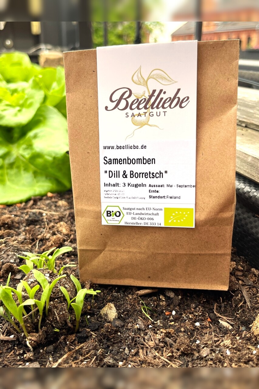 "Dill & Borretsch" Samenbomben mit Bio Saatgut