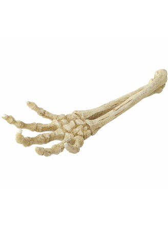 Aqua Della Skeleton Hand
