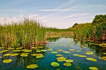 Ein Wochenende am Mellensee: Seeidylle am Rand unserer Hauptstadt
