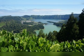 Individualreise - Wilde Romantik am Atlantik - Terceira, Faial und São Miguel