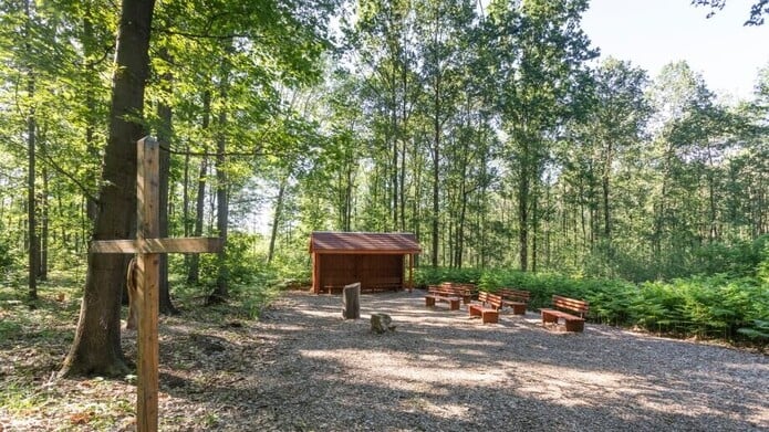 FriedWald Planitzwald