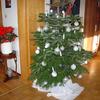Mein Weihnachtsbaum  der 1. seit 3 Jahren wieder