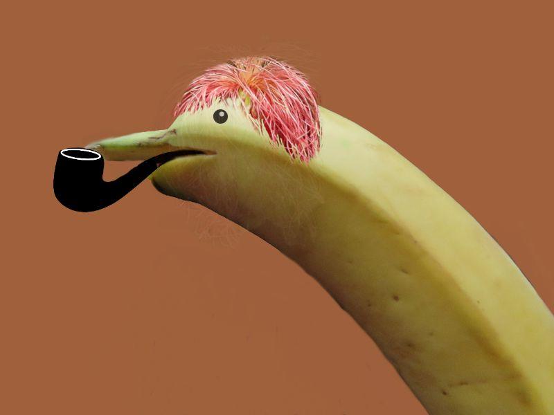 Banane mit kurzem Haar.jpg