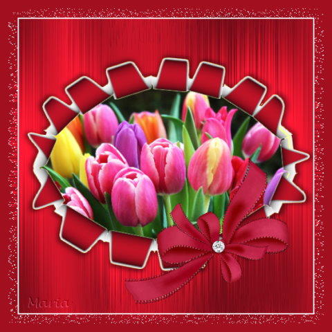 19-Februar-Tulpen im Ring.jpg