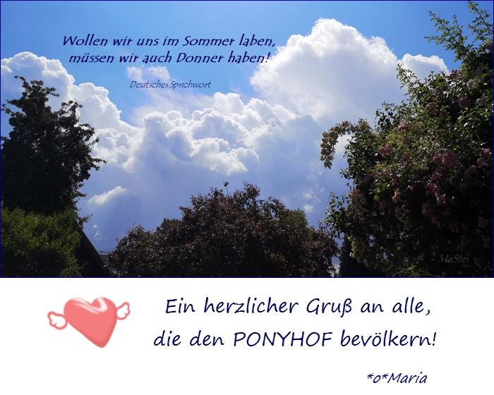 IMG_20200606_114846 Sommerdonner Ponyhof.jpg