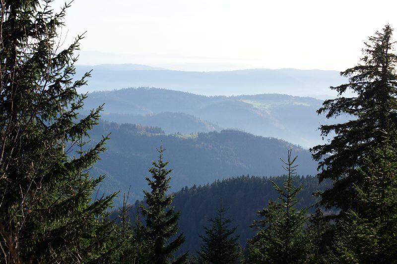 Schwarzwaldhöhen_3.JPG
