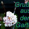 Gre_aus_dem_Garten