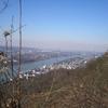Drachenfels, Blick über den Rhein nach Bonn