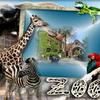 zoo Leipzig-Montage
