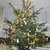 Weihnachtsbaum_2009