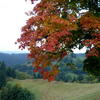 Herbst_2008_im_Harz_-_01