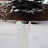04.01.2010- Bizarres Eisgebilde im Schnee