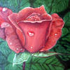 Eine rote Rose
