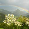 Regenbogen_im_Bregenzerwald