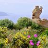verfallener_Wachtturm_in_Korsika