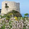Ein_Wachtturm_in_Korsika
