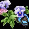 Blume-mit-Schmetterlingen