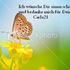 Schmetterling wuenscht guten Tag von Bergpeter, Veränderung Carla21