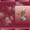 magnolie1703