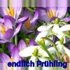 endlch_Frhling