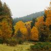 Herbstbilder_018