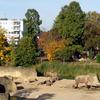 Herbst im Kölner Zoo