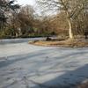 Zugefrorener Teich im Kölner Zoo