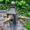 Brunnen mit hübschen Wasserspeier, Kloster Maria Laach, Eifel