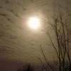 Mond über Birnbaum Dezember_2012