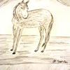 DSC02211_-_Zeichnung..Pferdebildnis_..1_-_gezeichnet_und_fotografiert_von_Charlotte_Dietchen